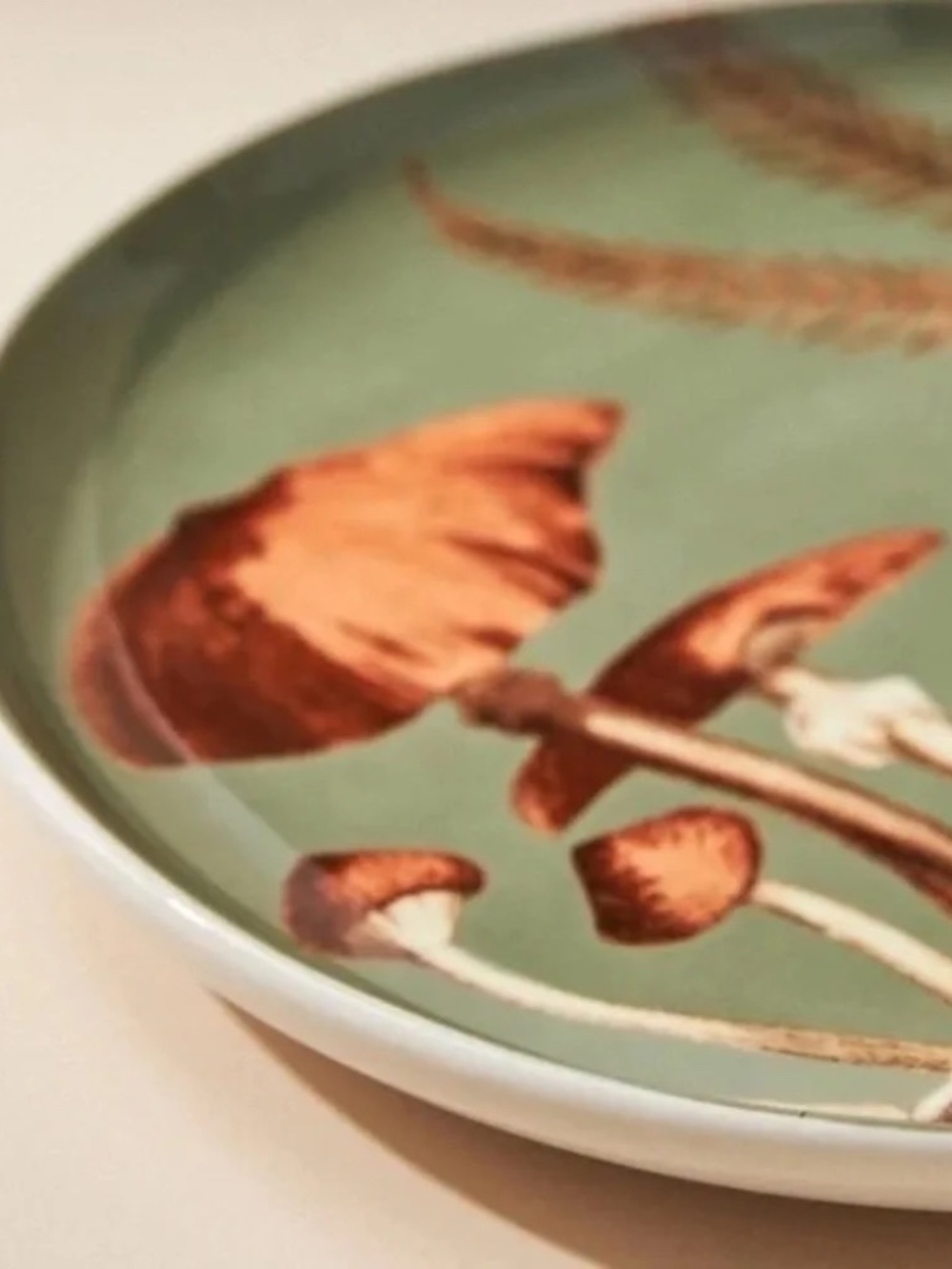 NWT Set/4 Anthropologie Nature Studies Fungi Dessert Salad Plates - Picture 3 of 3